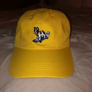 HATS 2/$10 // Skateboarding Dog Dad Hat
